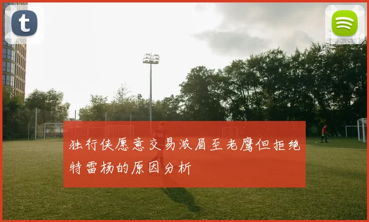 独行侠愿意交易浓眉至老鹰但拒绝特雷杨的原因分析