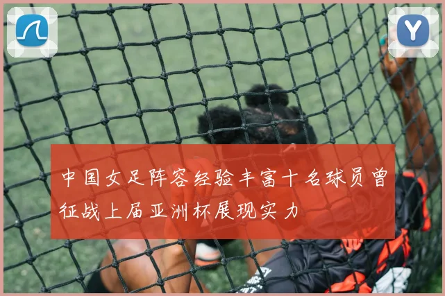 中国女足阵容经验丰富十名球员曾征战上届亚洲杯展现实力