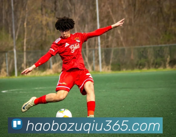 好博体育APP 封面图